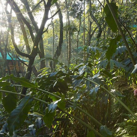 Dream Catcher Resort Munnar Exteriör bild