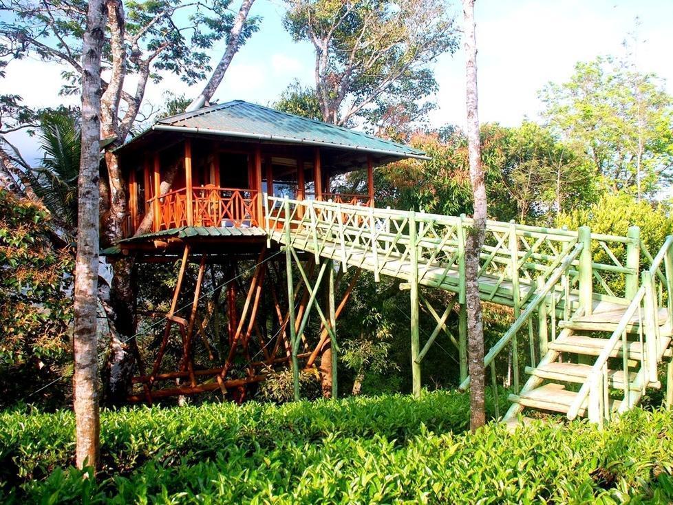 Dream Catcher Resort Munnar Exteriör bild