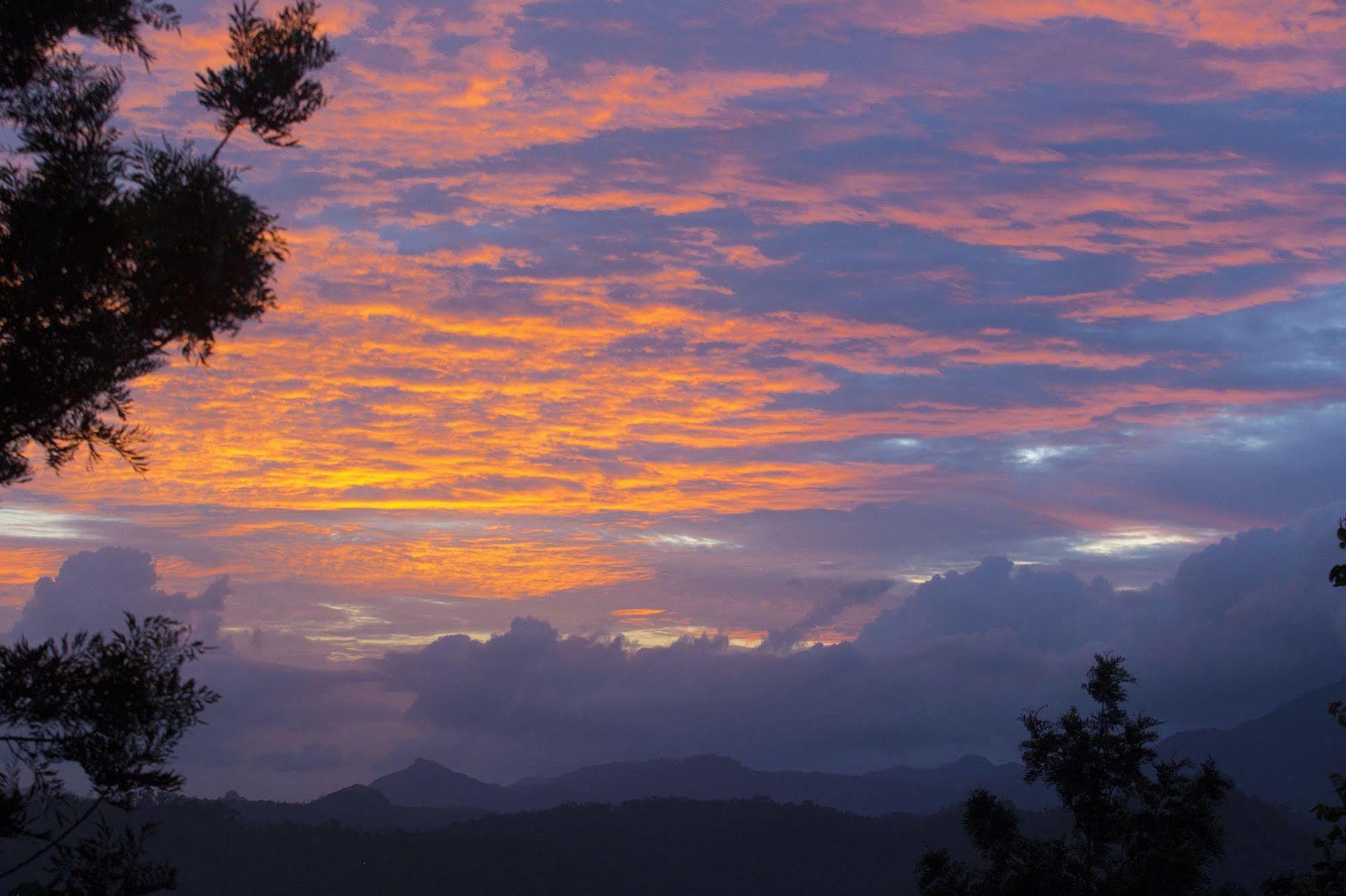 Dream Catcher Resort Munnar Exteriör bild