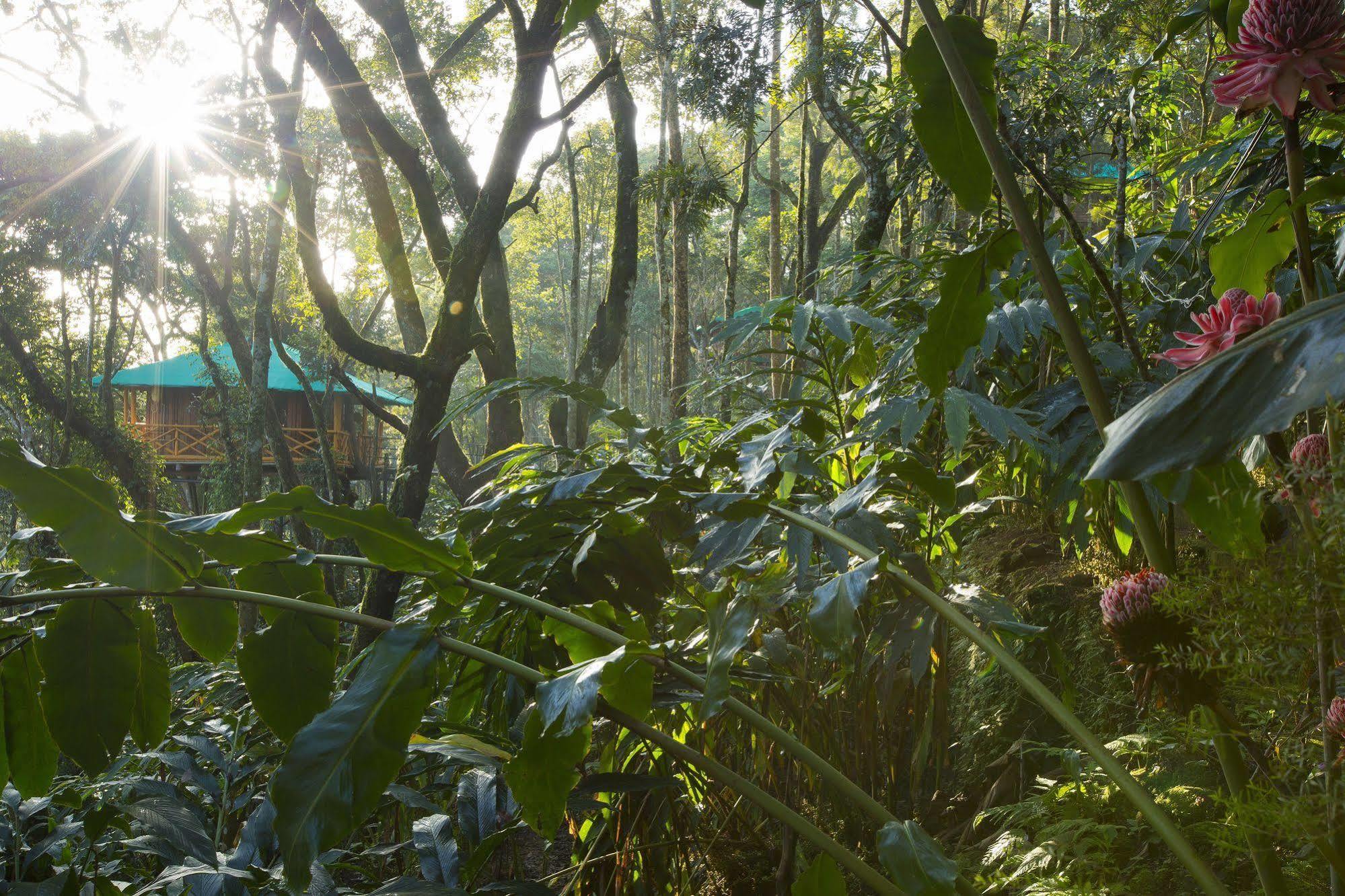 Dream Catcher Resort Munnar Exteriör bild