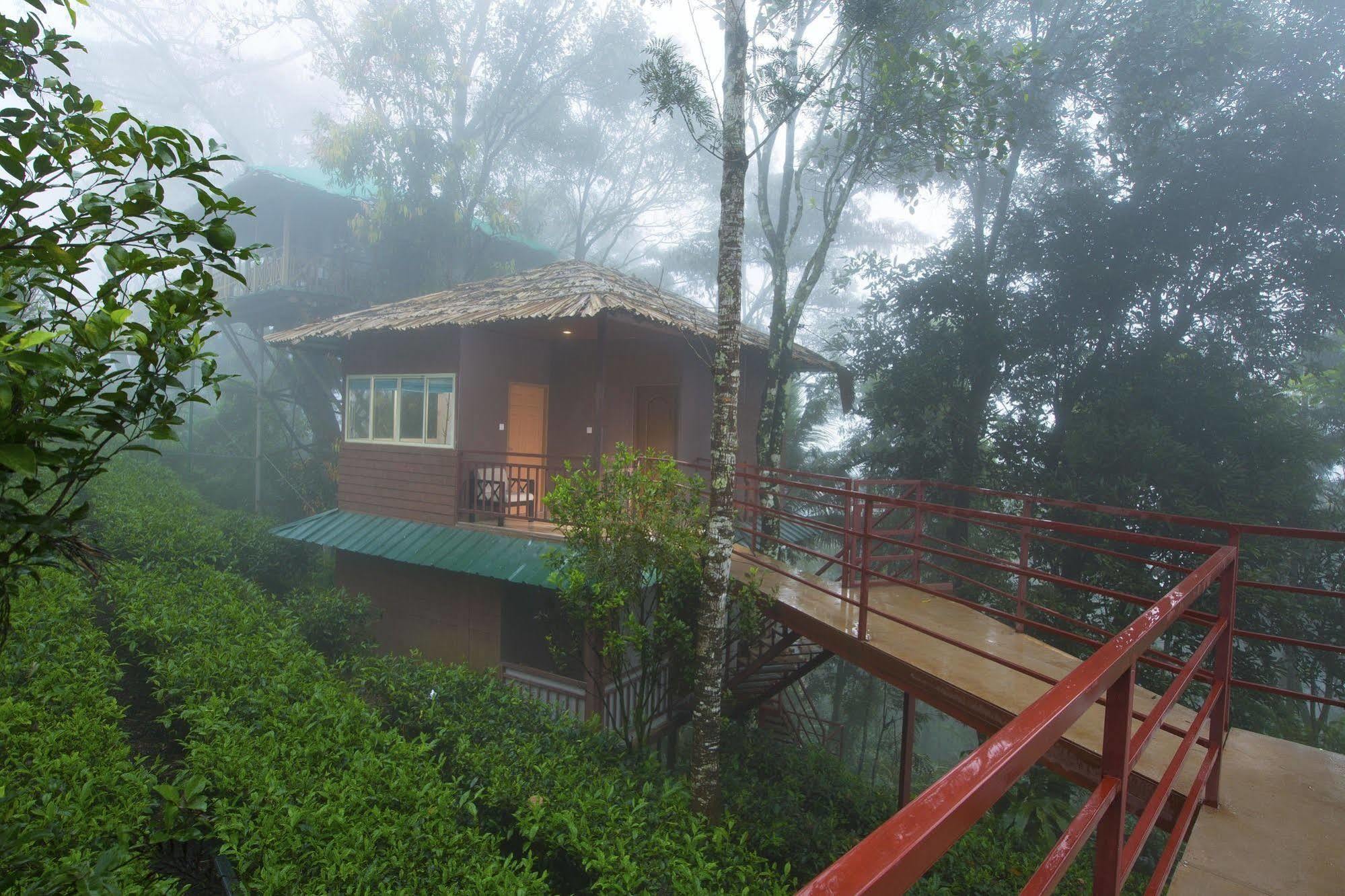 Dream Catcher Resort Munnar Exteriör bild